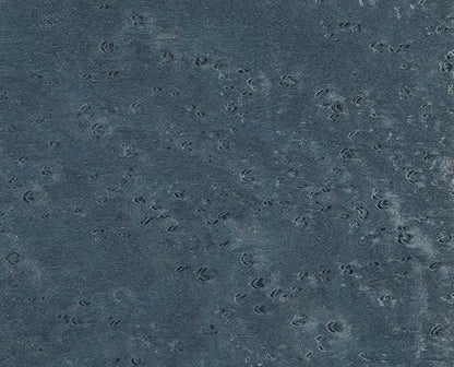 Veneer Finish Samples