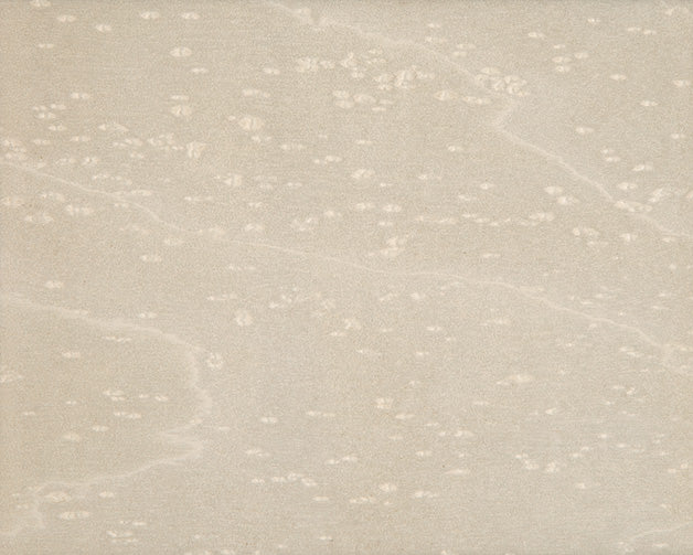 Veneer Finish Samples